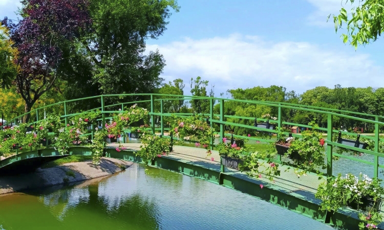 Schimbări importante în parcul de la Sala Sporturilor din Ploiești. SGU a început o amplă transformare a spațiilor verzi și de relaxare