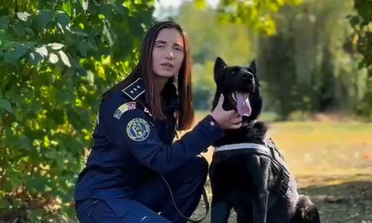 Ziua Mondială a Animalelor. Polițiștii din Prahova le reamintesc proprietarilor ce înseamnă responsabilitatea