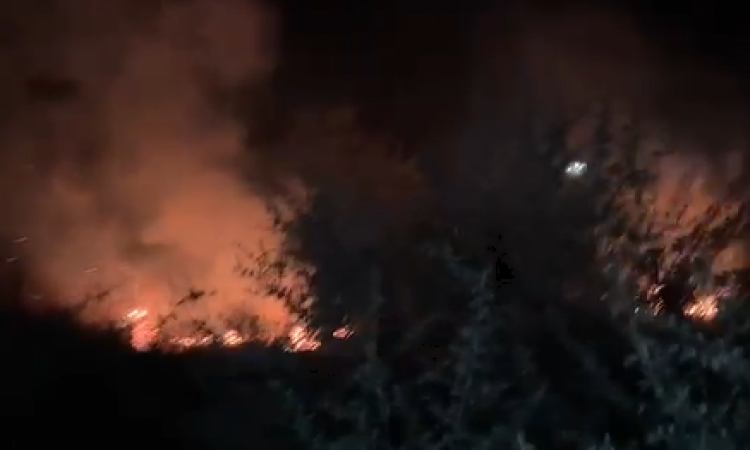 Incendiu de vegetație uscată pe aproximativ 20 de hectare, la Podenii Noi. Accesul pompierilor se face doar pedestru