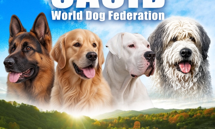 Expoziție canină la Crasna, comuna Izvoarele. Crescătorii și proprietarii de câini de rasă care nu dețin certificate de origine pot obține gratuit, pentru câinii eligibili, Pedigree de Tip C!