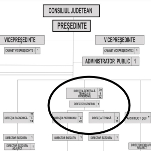 organigrama