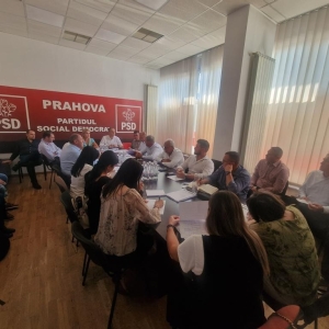 BPJ-PSD