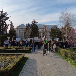 protest3