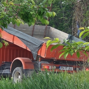 deseuri