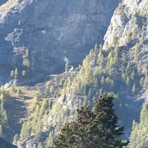 IMG-20241010-WA0040