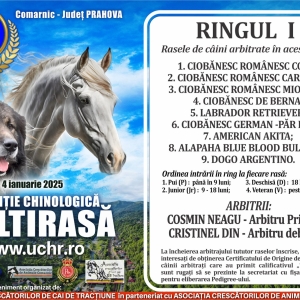 concurscainiComarnic
