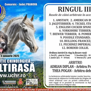 concurscainiComarnic3