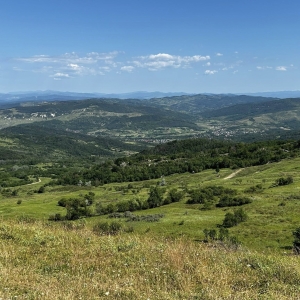 ciortea03