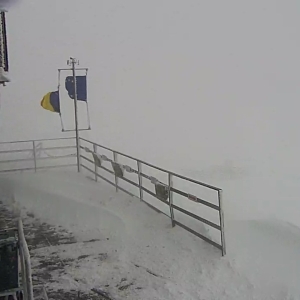 SnapShot-20260105_141120