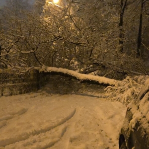 FB_IMG_1771391836842