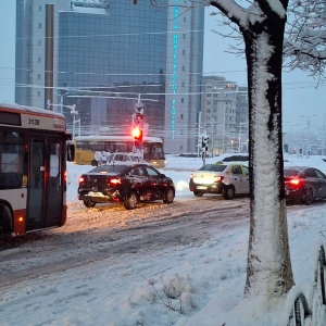 FB_IMG_1771391958916