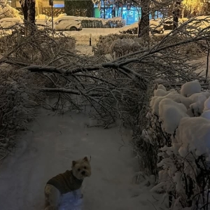 FB_IMG_1771391968341