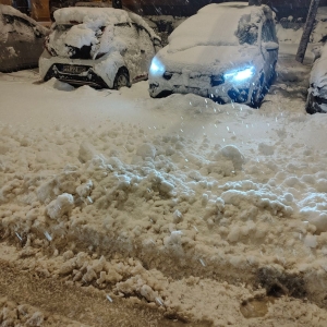 FB_IMG_1771392003472