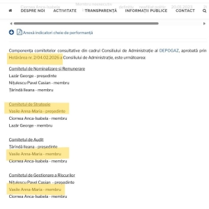 annamariaVasileDepogaz