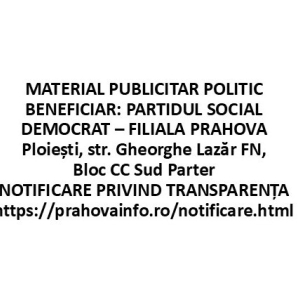 publicitate_politica