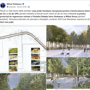 politeanu1